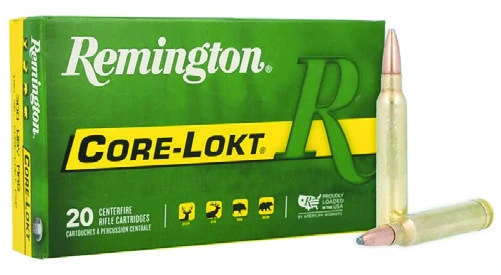 Remington 300 Win Mag 180 Gr Core-Lokt