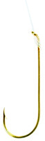 product_553_6a739c0e77b23.webp