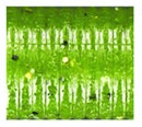 product_583_6a739c0ef131f.webp