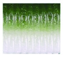 product_583_6a739c0ef148c.webp