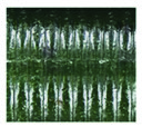 product_584_6a739c0f03e96.webp