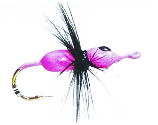product_590_6a739c0f369dc.webp